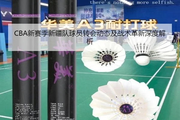 CBA新赛季新疆队球员转会动态及战术革新深度解析